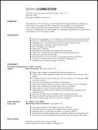 Free Professional Banking Resume Example Resume Now