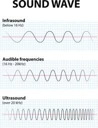 Cancer cells need to have different features to reside in different types of tissue. New Ultrasound Treatment Kills Off Cancer Cells Science News For Students