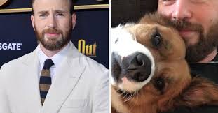 Check spelling or type a new query. Chris Evans Reveals Why He Named His Dog Dodger