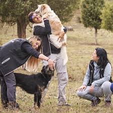 La mayoría de las fobias se originan en la niñez o en la adolescencia, siendo la causa más frecuente la. Superando Fobias Miedo A Los Animales Psicoanimal