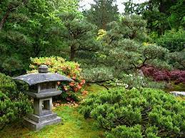 Pin Von Garden And Nature Tranquility Auf Japanese Garden Japanische Gartenpflanzen Schone Garten Japanische Landschaft
