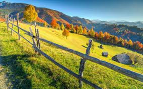 Temperatura maximă va fi de 9…10 grade, iar cea minimă în jur de 5 grade. Vremea 22 Octombrie 2017 Vremea ContinuÄ SÄ Fie CaldÄ Prognoza Pe UrmÄtoarele Trei Zile Stirileprotv Ro