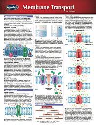 Membrane Transport Chart Medicine And Anatomy Nursing Quick Reference Guide Ebook Rental In 2021 Study Biology Teaching Biology Biology Facts