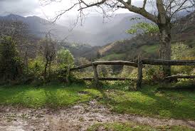 Para disfrutar del descanso en la auténtica naturaleza y de variadas rutas. Campo De Caso Imagen Foto Asturias World Fotos De Fotocommunity