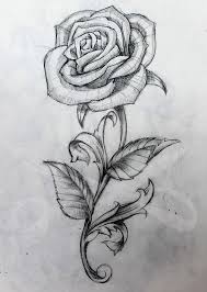 Then, draw two c shaped lines around one end of the petal. Drawing Rose Drawing Tattoo Outline