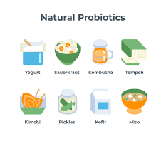 Foods That Are Rich in Probiotics - Health BeatHealth Beat
