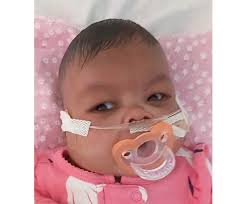 Luna Amaris Travis Obituary (2025)