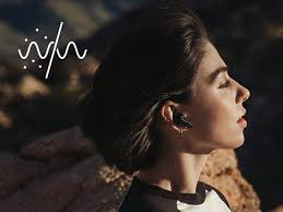 Urbanista Phoenix Solar Powered Hybrid ANC True Wireless Earbuds, Infinite  Playtime Active Noise Cancelling Bluetooth Earphones, IPX4 Multipoint In ...