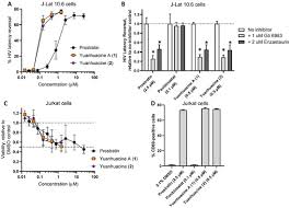 Image result for Gnidia sericocephala