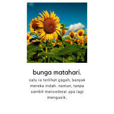 Puisi tentang bunga matahari dan hubungannya dengan hakikat manusia 15 Puisi Bunga Ideas Indonesian Quotes Quotes Quotes Rindu