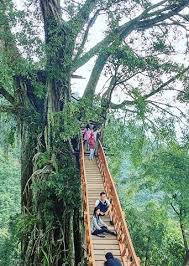 Sebab kota bogor ini juga memiliki wisata budaya yang tidak kalah bagus untuk kamu datangi. Tempat Wisata Alam Sentul Bogor Paling Viral Gerai News