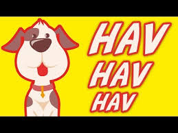 Hayvanli Sarki Hayvanlarin Seslerini Ogreten Cocuk Sarkisi Youtube