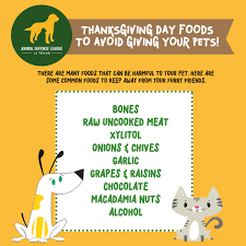 We did not find results for: Thanksgiving Day Pet Tips Animal Defense League Of Texas San Antonio Animal Defense League Of Texas San Antonio