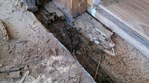 Image result for site:byggahus.se byta syll