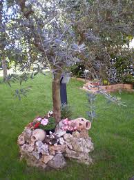 Abbellire Un Albero Di Ulivo Ecco 16 Splendidi Esempi Per Ispirarvi Idee Di Giardinaggio Ulivo Idee Giardino Verticale