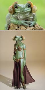 In a second there'll be the biggest mistake of this dog. 12 Funniest Photoshop Battles Photos Will Make Your Day Reckon Talk