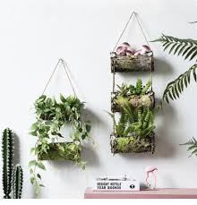Moss Vertical Hanging Bark Planter Hanging Flower Pots Flower Pots Wall Planter
