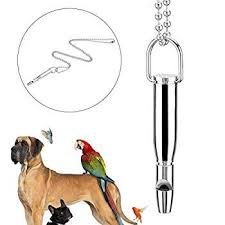 Dog Training Whistle Professional Dog Outdoor High Pitch Whistle Ultrasonic Sound Training Tool To Stop Barking We Do H In 2020 Outdoor Dog Dog Whistle Dog Training
