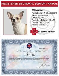 Fill in and complete animal registration form 2020/21 (pdf renew cat registration. How To Register A Cat As An Emotional Support Animal Http Pets Ok Com How To Register A Cat A Emotional Support Animal Service Animal Emotional Support Dog