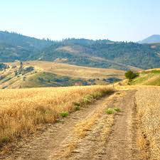 The Importance of Land Access - AcrePro