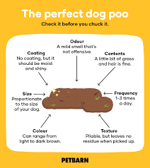 How To Tell If Its A Healthy Dog Poo Petbarn