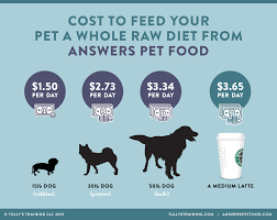 10,000+ pet products · anything for pets · one stop shop What S The Best Diet For My Dog One Dog Food Company Is Revolutionizing The Way Our Pets Eat Tully S Training