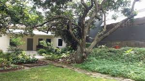 Tanam pohon secara berlapis di taman halaman rumah dan atur juga. Rumah Dengan Halaman Luas Di Cilandak Yuma Prabowo Youtube