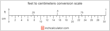 feet to centimeters conversion ft to cm inch calculator