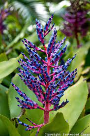 Check spelling or type a new query. Pin On Flowers Flowers Flowers