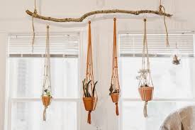Patio Trees Hang Plants From Ceiling Things To Hang From Ceiling Ceiling Decor