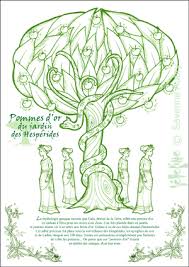 assieds toi au pied d un arbre et avec le temps tu verras l univers defiler devant toi proverbe francais voici comme pr coloriage coloriage arbre hesperides