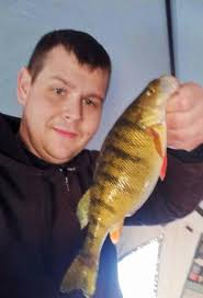 Perch magnet live bait hook for fishing