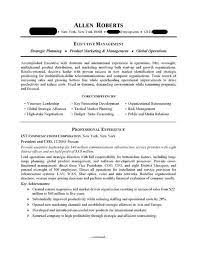 How to write a cv learn how to make a cv that gets. Ceo Executive Resume Sample Professional Resume Examples Topresume