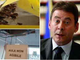 Blatte all'università a Roma, Ciardi (centrodestra): «Colpa degli studenti  stranieri». Il Pd: «Razzismo becero»