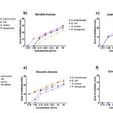 Image result for Oleandra distenta