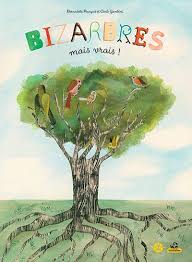 Bizarbres Mais Vrais La Salamandre Livre Album Jeunesse Litterature Jeunesse