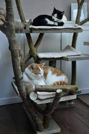 diy katzen katzenhaus sussekatzen katzen haus katzen katzenhaus