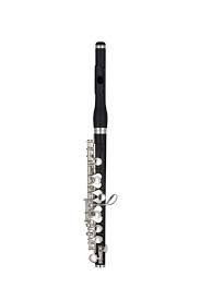 No, a piccolo is a woodwind instrument. John Packer Jp114 Piccolo Jp Musical Instruments