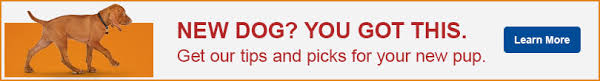 When to feed a puppy. How Much And How Often Should I Feed My Puppy Pet Care Article Petco Com