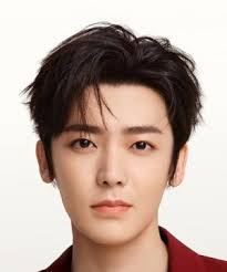 Hou Ming Hao (侯明昊)