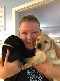 How does the vet diagnose dog pregnancy? What To Do When You Find Out Your Dog Is Pregnant Love And Kisses Pet Sitting Nc