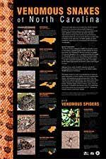 venomous snakes and spiders of nc poster photos info