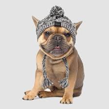 Polar Pom Pom Dog Hat Canada Pooch