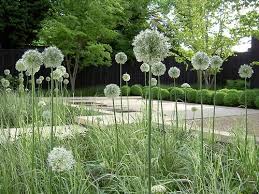 The Woodyard Annie Pearce Landscape Tuin Tuin Ideeen Tuin Bollen