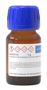Image result for Amphotericin B