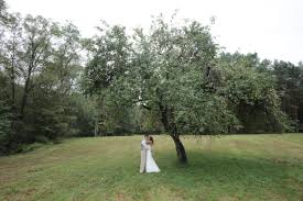 No reviews of apple tree rustic campsite yet. Pin On Our Backyard Wedding 3