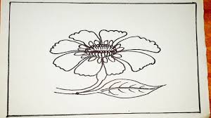 Start to draw your first bouquet now. How To Draw Aster Flower Flower Drawings Oilpastel Coloring How To Draw Step By Step Youtube