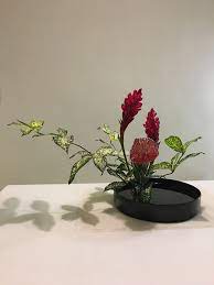 112516 針墊花 星點木 紅薑花 小原流 斜插法 instadaily
