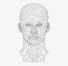3d Wireframe Face Transparent 381x720 Png Download Pngkit