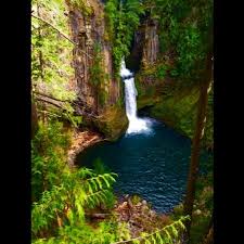 Maybe you would like to learn more about one of these? Toketee Falls Located Near The Springs Picture Of Umpqua Hot Springs Roseburg Tripadvisor